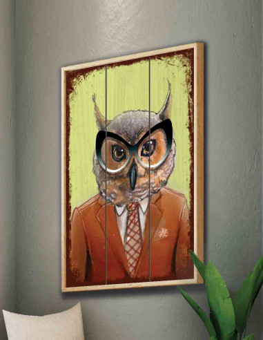 VINOXO Funny Animal Framed Owl Wall Art Decor Plaque - Green