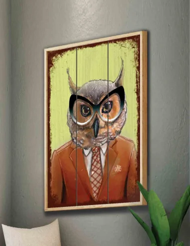 VINOXO Funny Animal Framed Owl Wall Art Decor Plaque - Green